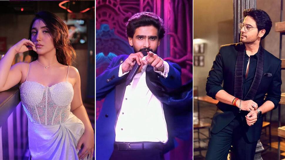 Bigg Boss 19 Contestants Staggering Net Worth Bigg Boss 19 Contestants Staggering Net Worth