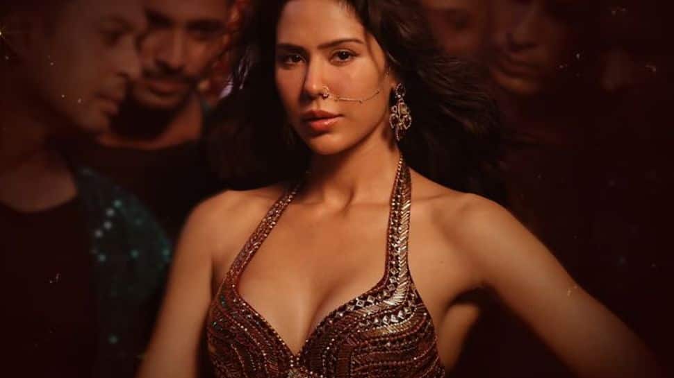 Sonam Bajwa Turns Up Heat In Sizzling Track Akeli Laila From Tiger Shroff’s Baaghi 4