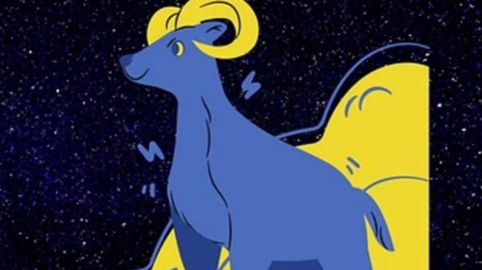 Capricorn Capricorn