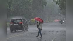 Heavy Rains Lash Telangana: Kamareddy, Medak Districts Worst Affected