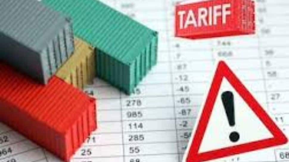 Govt Sector Can Keep Tariff Disruptions To Minimum: FinMin Economic Review