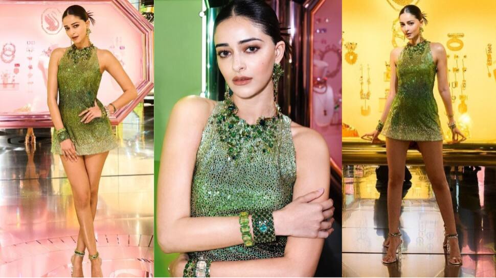Bold In Green Bold In Green