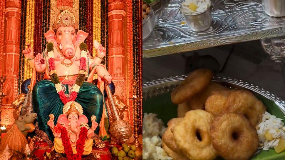 Viral Video: Mouse Snacks On Ganesh Offering, Internet Delighted As Tiny Devotee Joins The Celebration