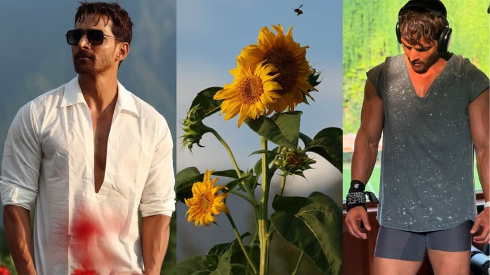 Silaa Movie Update: Harshvardhan Rane Shoots For THIRD Schedule In Kashmir, Shares Scenic Pictures