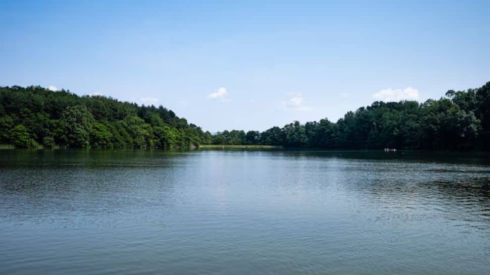 What Is Mahanadi River Dispute? Odisha, Chhattisgarh Step Up Dialogue Over Ten Years Old Rift