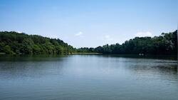 What Is Mahanadi River Dispute? Odisha, C'garh Step Up Dialogue Over Old Rift