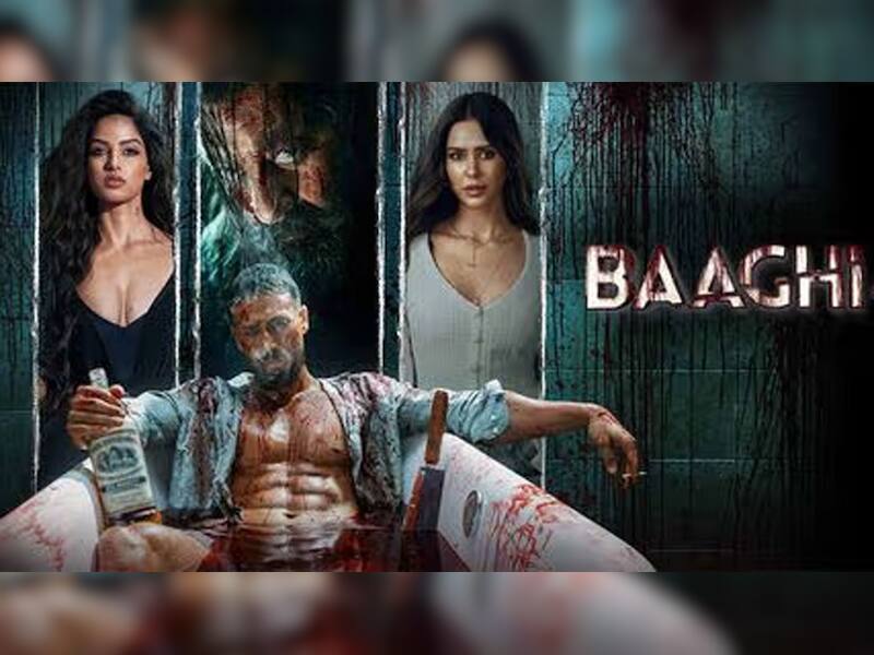 Baaghi 4 (September 5)