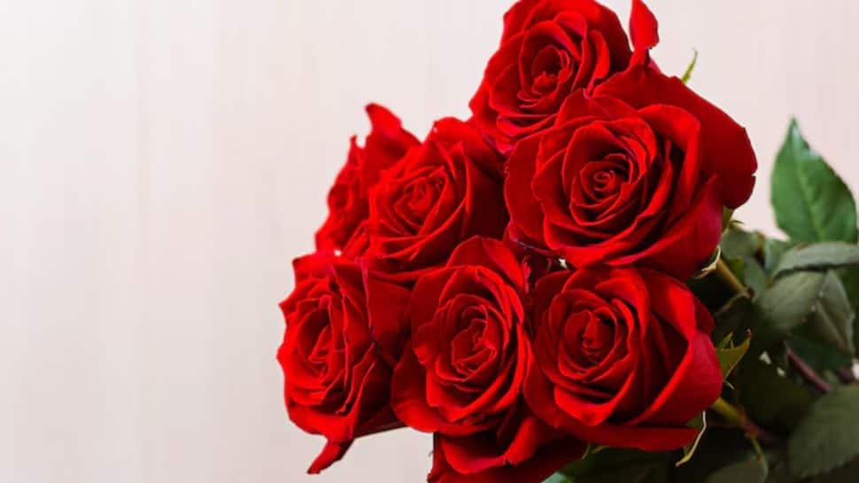 Red Flowers