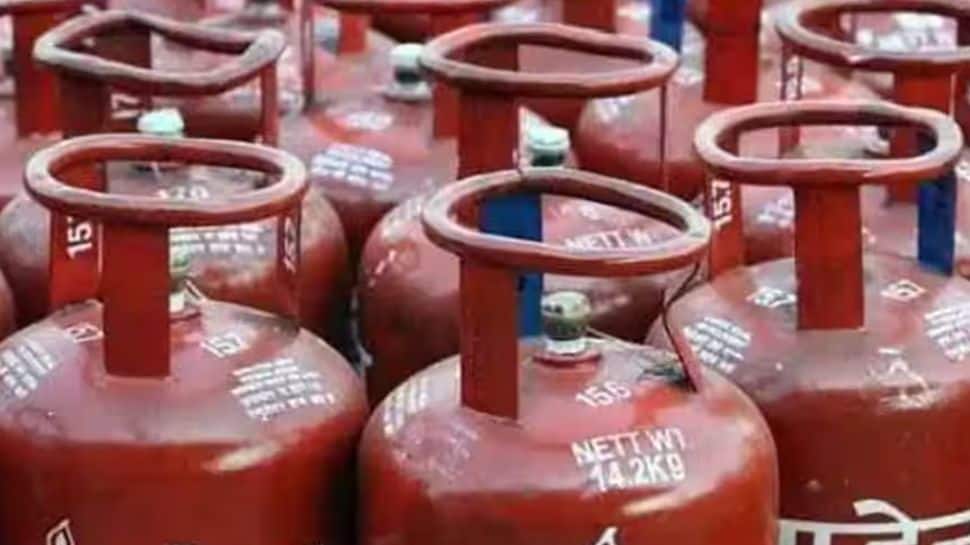 LPG Distributors Seek GST Rate Cut On Pipe Hoses From 18% To 5%