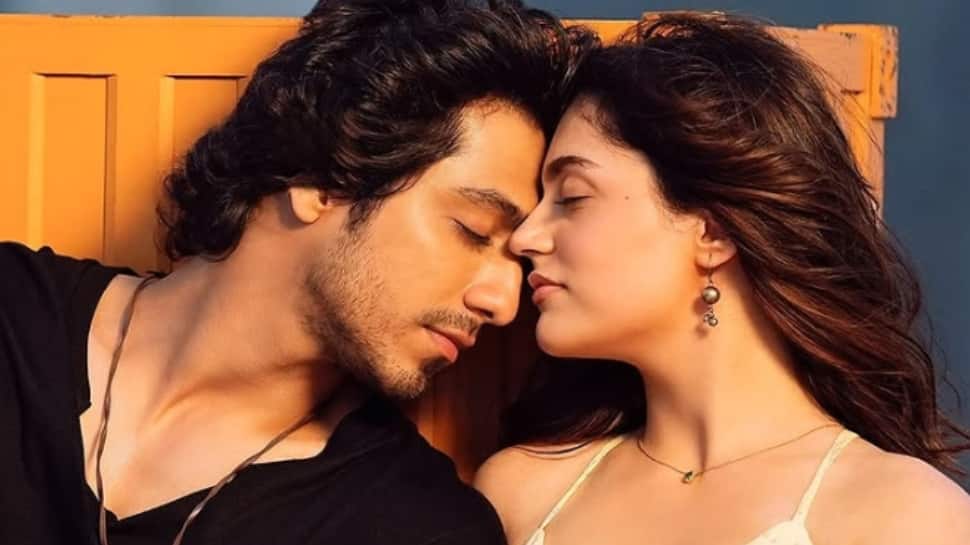 Saiyaara Final Worldwide Box Office Collection: Ahaan Panday's Debut Beats Salman's Tiger Zinda Hai, Aamir Khan's 3 Idiots With Rs 570 Crore Blockbuster Run