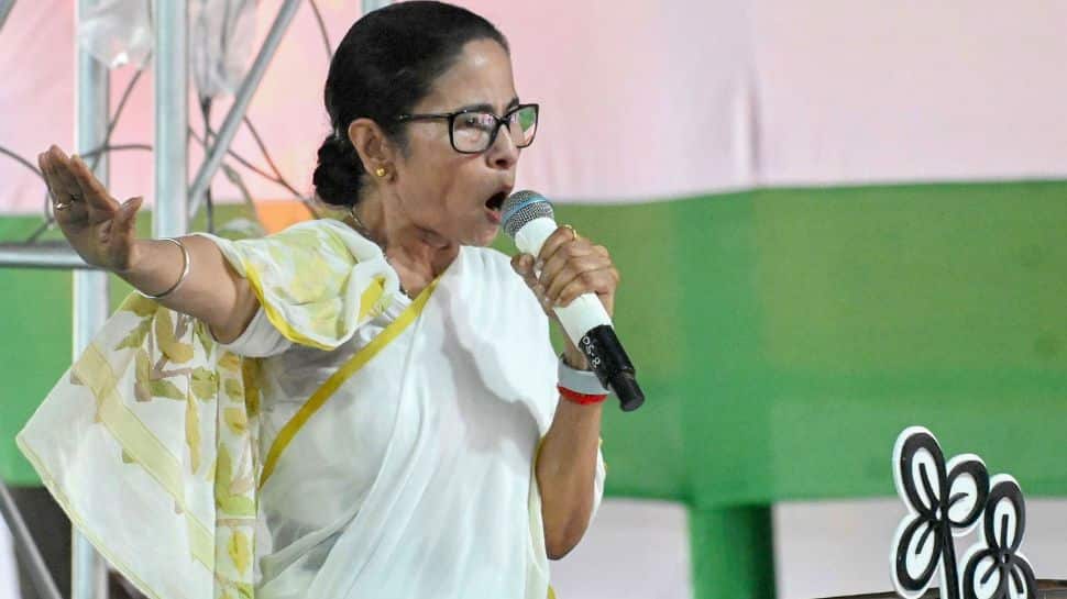 Mamata Banerjee Accuses BJP Of `Colonial Mindset,` Calls It Party Of `Vote Chor`