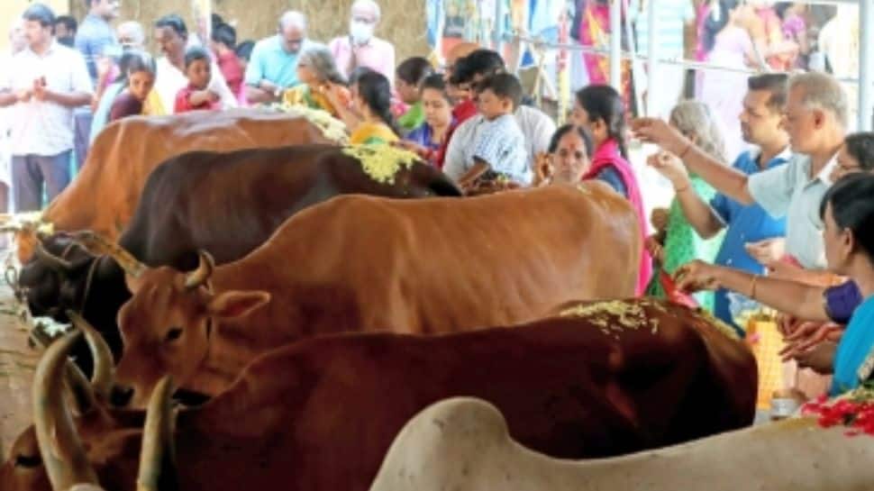 GST Revamp To Boost Cooperative Sector, 10 Crore Dairy Farmers: Govt | Economy News  zeenews.india.com