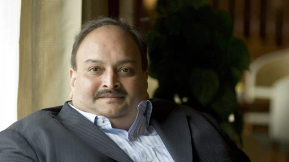 Mehul Choksi Extradition: India Assures Belgium On Detention Conditions Amid Rights Concerns