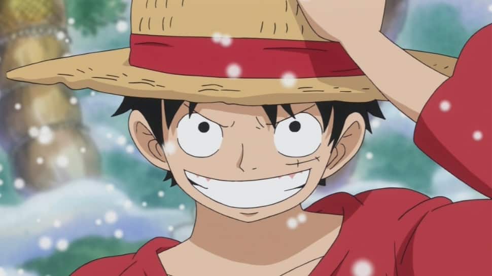 About One Piece About One Piece