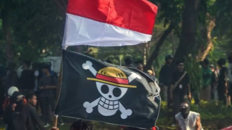One Piece Flag Reemerges as Protest Symbol One Piece Flag Reemerges as Protest Symbol