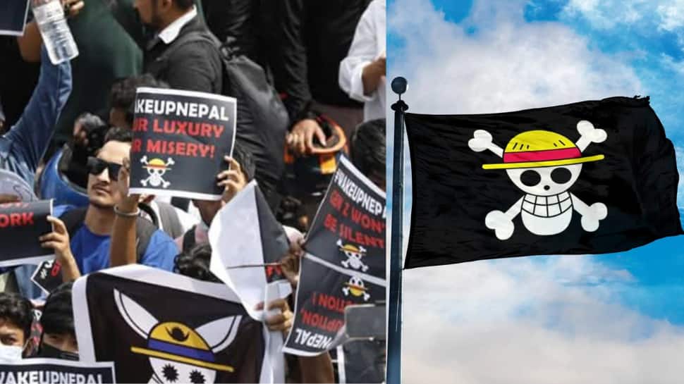 Skull-and-Straw-Hat Flag - Who does it belong to? Skull-and-Straw-Hat Flag - Who does it belong to?