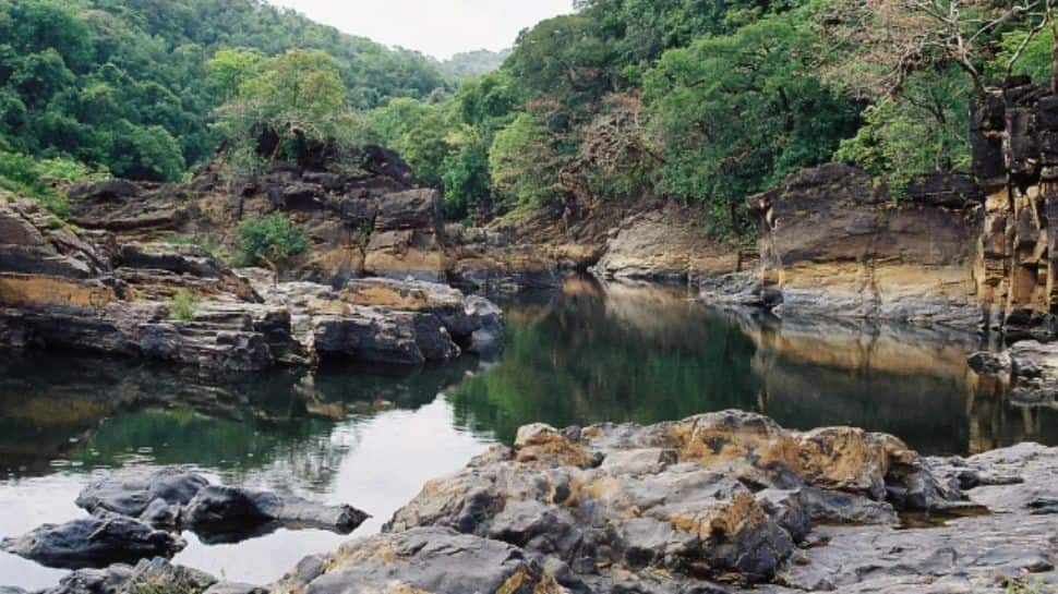 Mhadei Wildlife Sanctuary, Goa