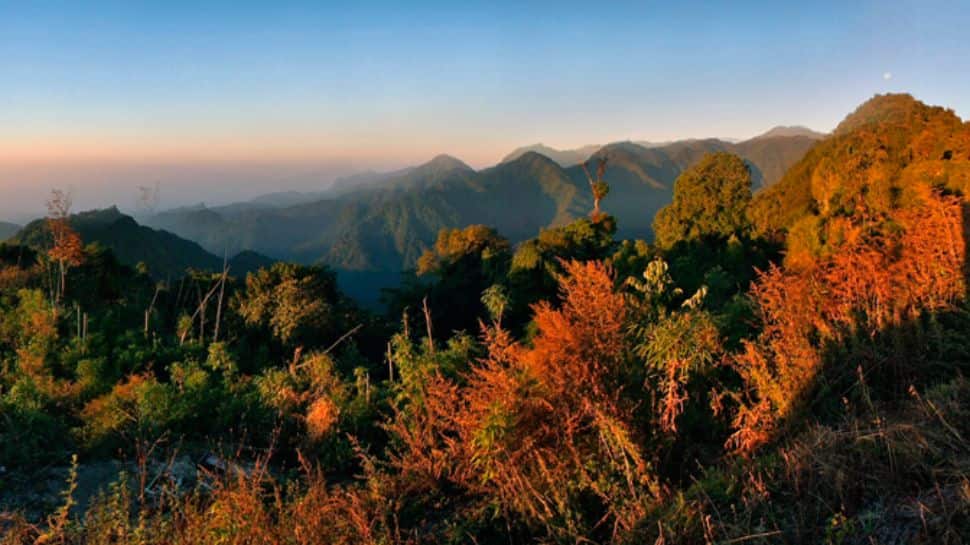 Eaglenest Wildlife Sanctuary, Arunachal Pradesh