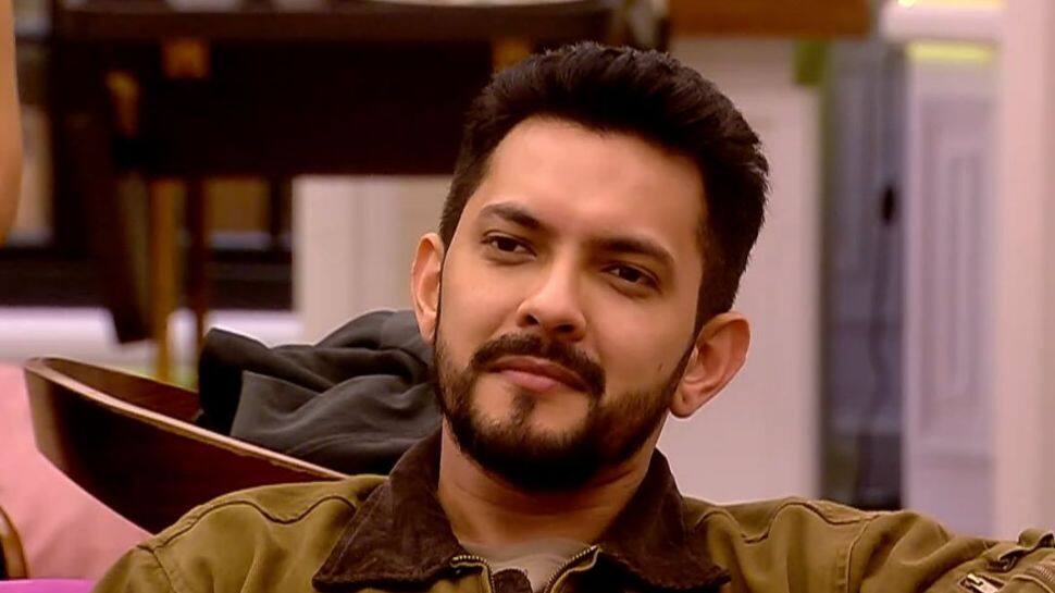 Aditya Narayan