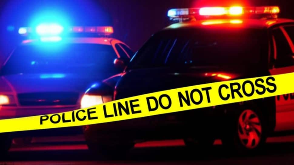 Pakistani-Origin Man Accused Of Cross-Border Plot To Kidnap Minor In Canada