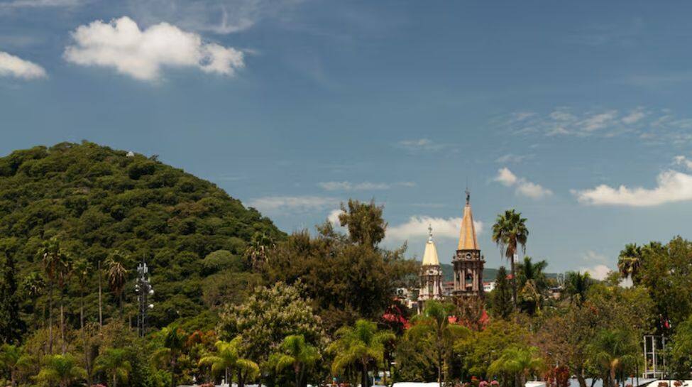 5. The Gambia – IQ: 52.98 5. The Gambia – IQ: 52.98