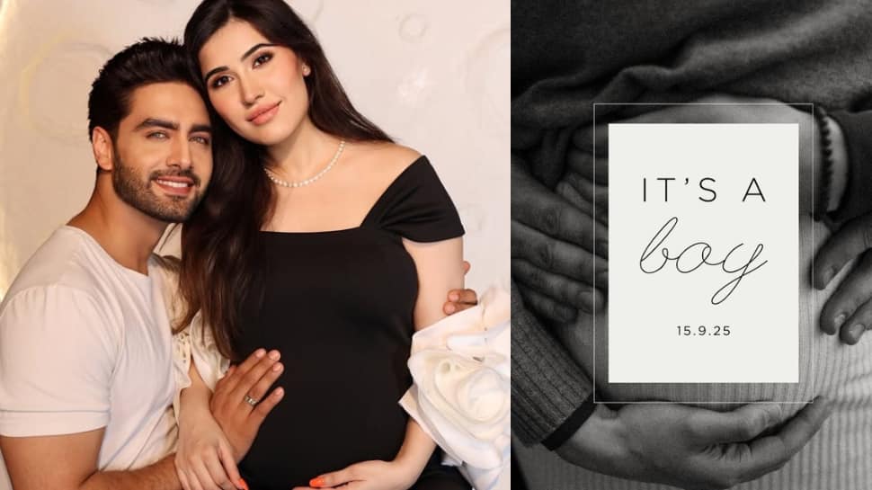 'Best Of Luck Niki' Fame Sheena Bajaj And Husband Rohit Purohit Welcome Baby Boy