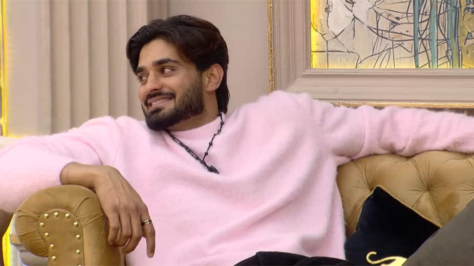 Rise And Fall Contestants: Arbaz Patel Beats Arjun Bijlani, Aditya Narayan To Become 'Ultimate Ruler', Dhanashree Verma Opens Up On Her Divorce