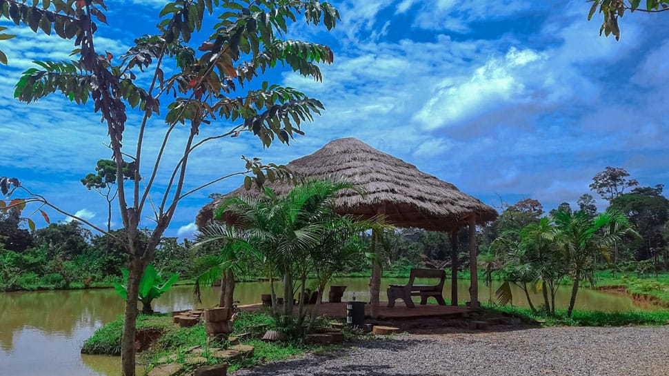 Cameroon