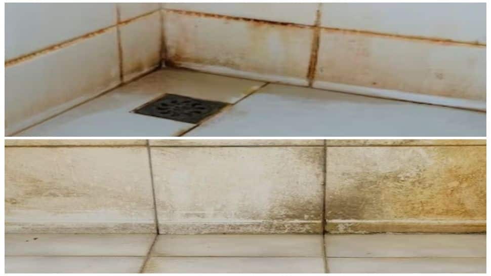 No More Hours Of Scrubbing! This Magic Trick Will Make Your Bathroom Tiles Shine Instantly