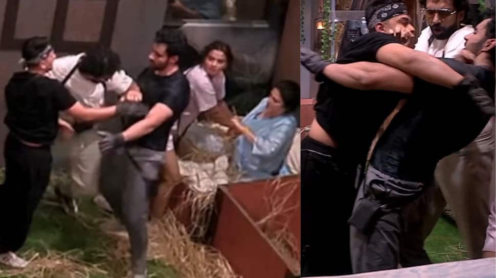 Bigg Boss 19 Trending: Chaos Erupts As Abhishek Bajaj, Awez Darbar Clash In Captaincy Task - WATCH