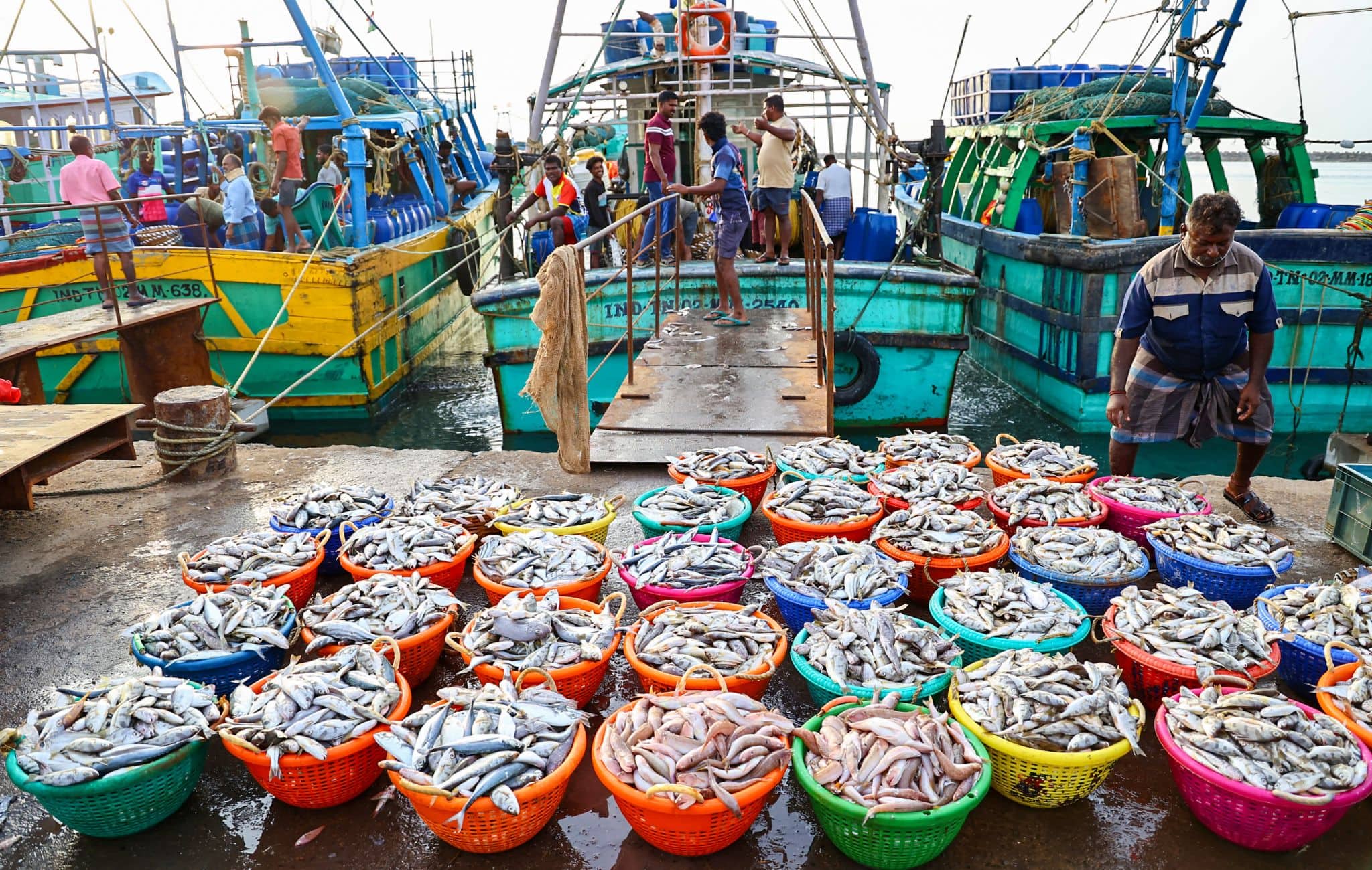 Lakshadweep To Host Investor`s Meet On Tuna, Seaweed Exports