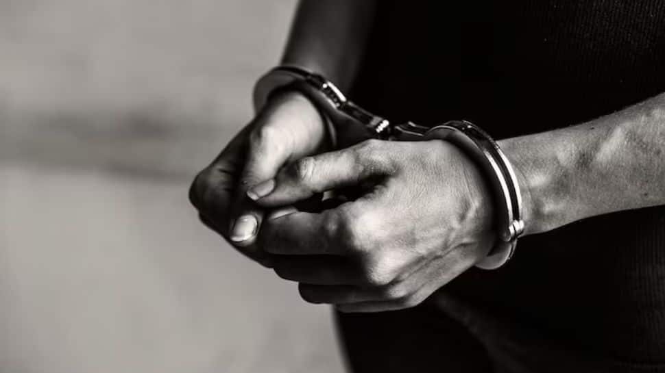 BSF, Punjab Police Apprehend Four In Gurdaspur With Heroin Consignment