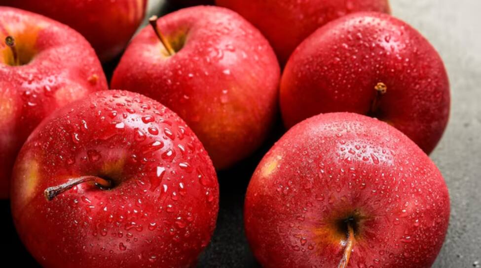 Lifestyle, Healthy foods, Seasonal foods, health tips, immune-boosting foods, fall and winter foods,