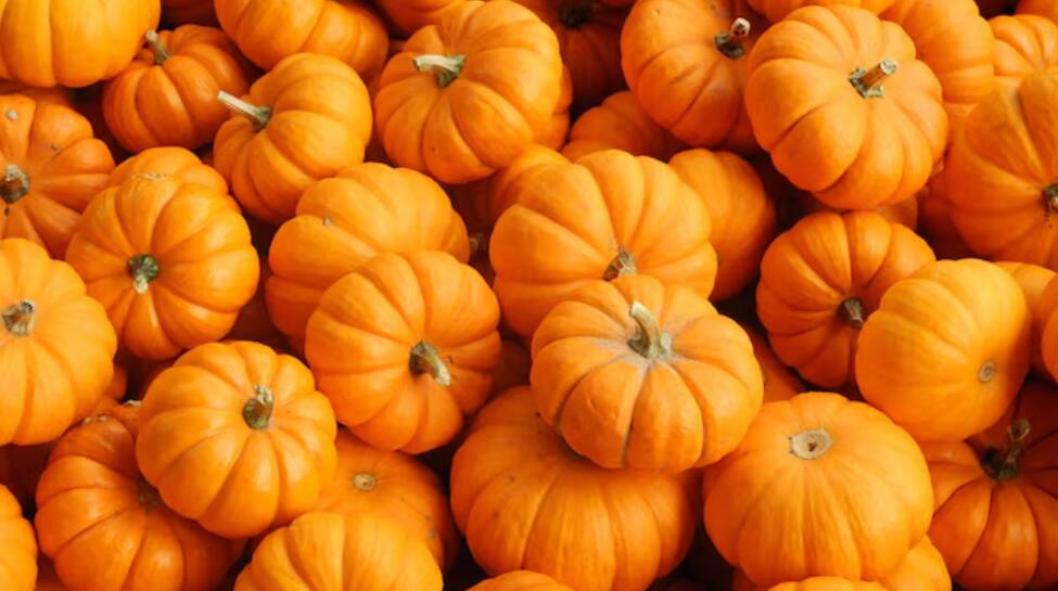 Lifestyle, Healthy foods, Seasonal foods, health tips, immune-boosting foods, fall and winter foods,