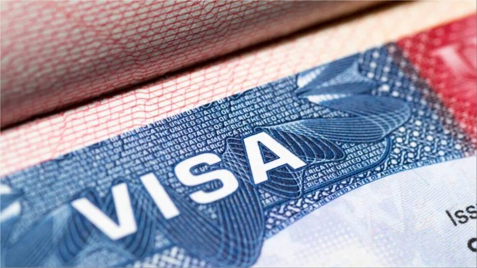 Elon Musk's Key Ally Blasts Trump’s H-1B Visa Hike: ‘They Made X Possible’