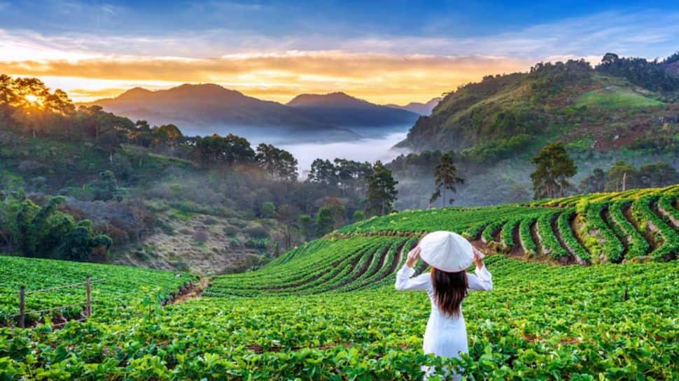 Vietnam
