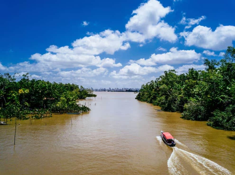 India’s smallest river, India, Rajasthan, Arvari River Rajasthan, Arvari river story, Arvari river r