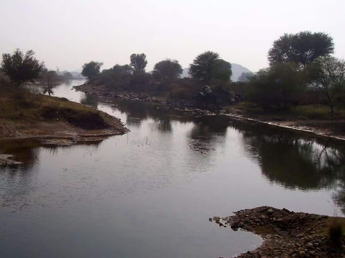 India’s smallest river, India, Rajasthan, Arvari River Rajasthan, Arvari river story, Arvari river r