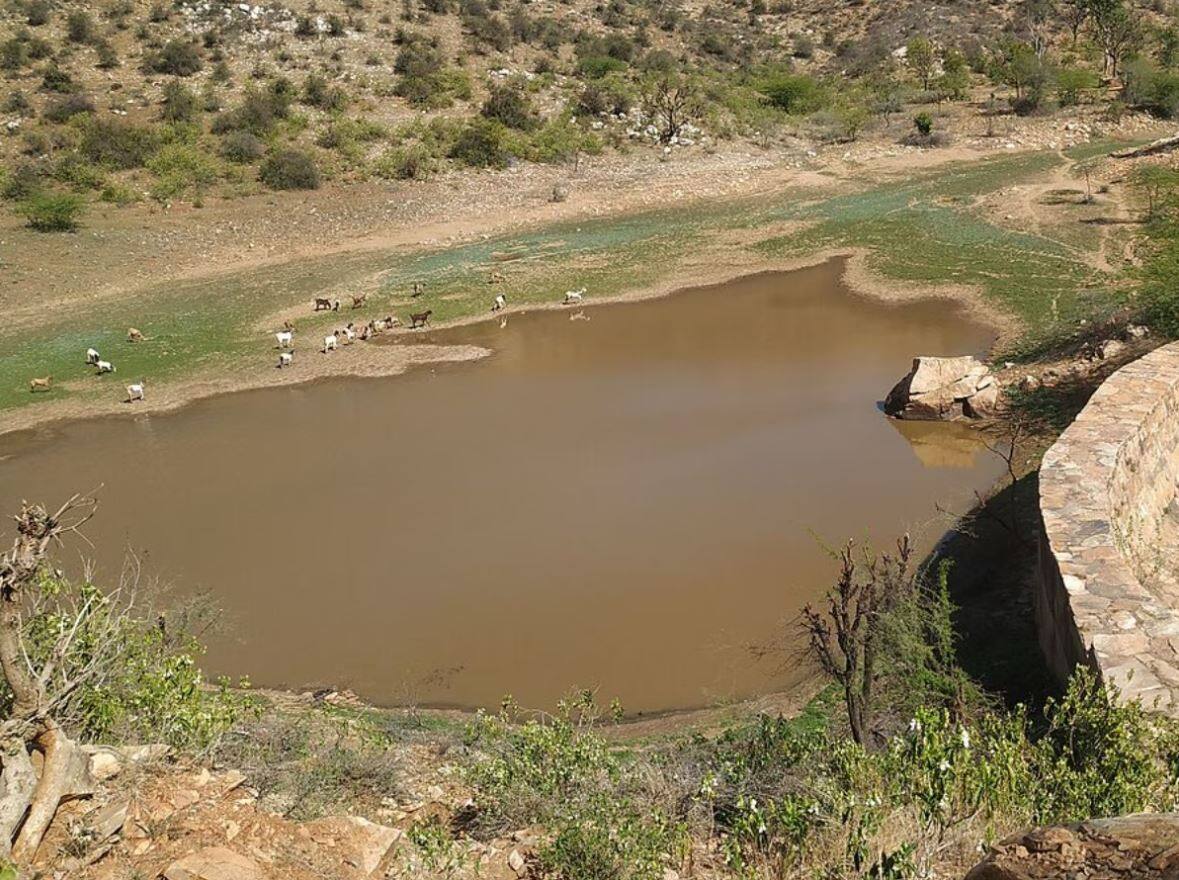 India’s smallest river, India, Rajasthan, Arvari River Rajasthan, Arvari river story, Arvari river r