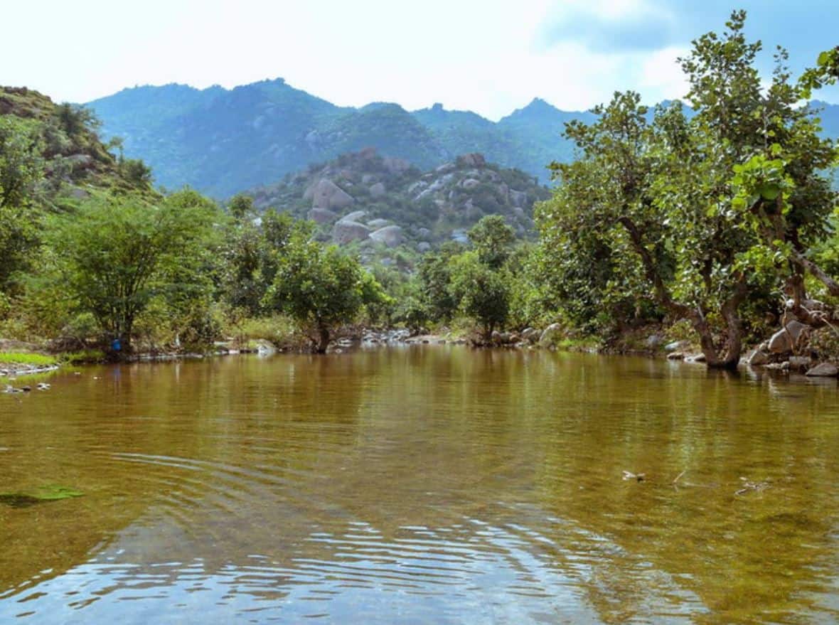 India’s smallest river, India, Rajasthan, Arvari River Rajasthan, Arvari river story, Arvari river r