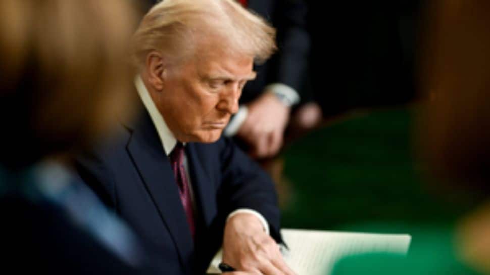 How Will Trump`s 100% Pharma Tariff Reshape The Indian Drug Export Market? Explained