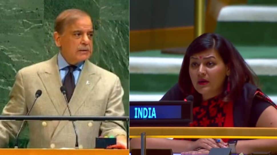 India Accuses Pakistan PM Shehbaz Sharif Of Glorifying Terrorism At UN, Claims Islamabad Shields Terrorists