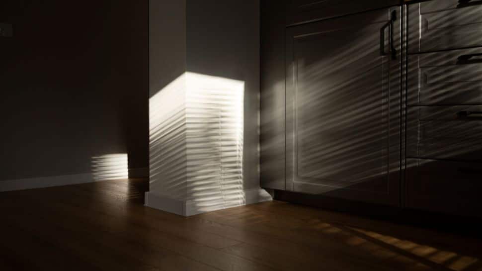 How to Get Rid of Silverfish At Home Naturally And Safely: Try THESE Effective Tips