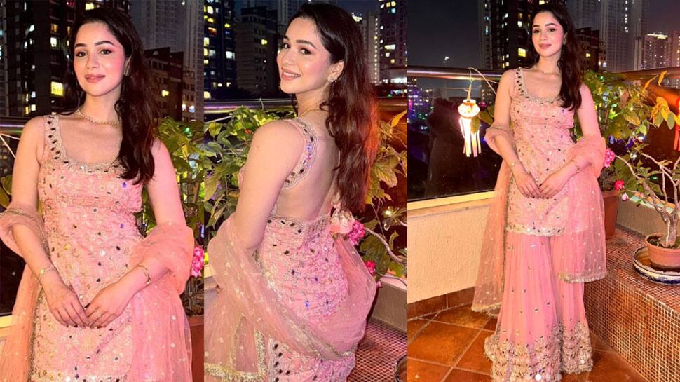 Sara Tendulkar Wore Pink Sharara Sara Tendulkar Wore Pink Sharara