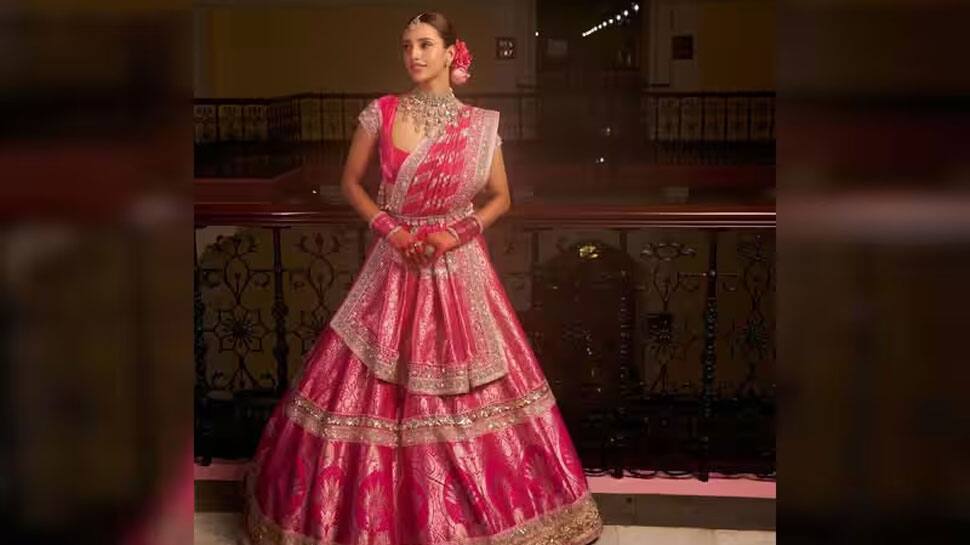 Triptii Dimri's Pink Lehenga Triptii Dimri's Pink Lehenga