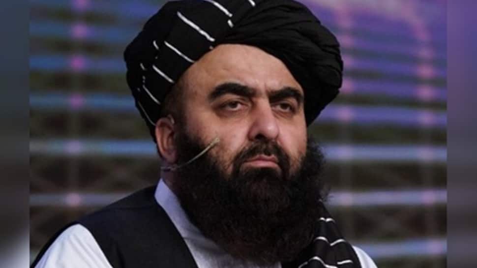 Afghanistan`s FM Amir Khan Muttaqi To Visit Delhi Next Week As UNSC Clears Travel Request