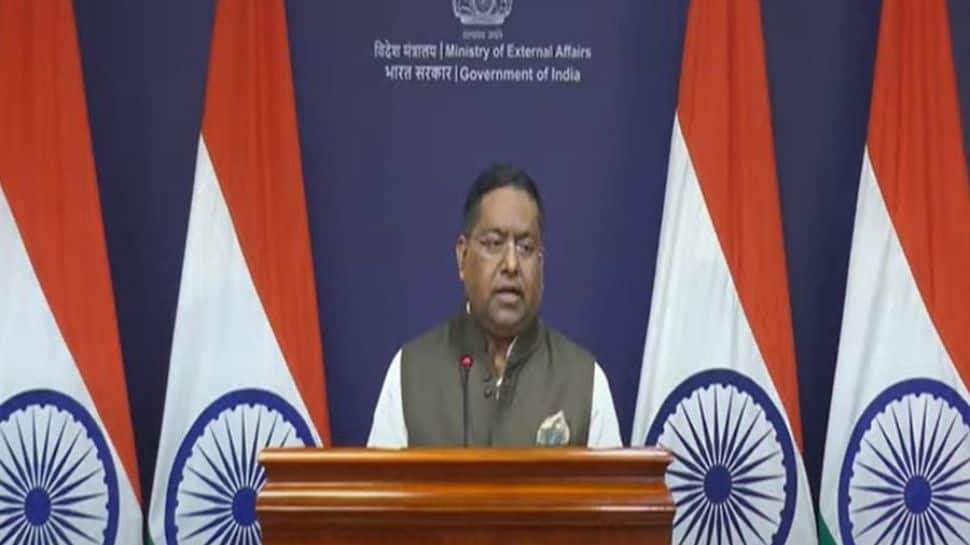 ‘Brutalities And Oppressive Approach By Pakistani Forces...’: India’s Sharp Reaction To PoK Protests