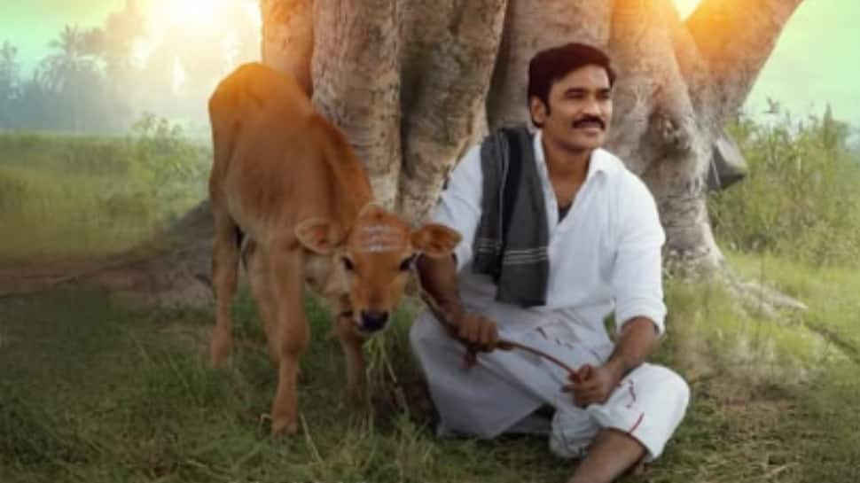Idly Kadai Actor Dhanush's Fee