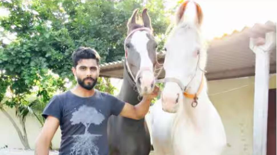 Horses as Therapy Horses as Therapy