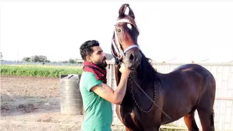 Notable Horses - Dhanraj & “Poser” Mare Notable Horses - Dhanraj & “Poser” Mare